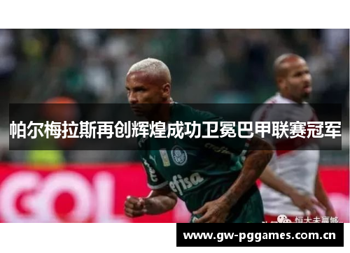帕尔梅拉斯再创辉煌成功卫冕巴甲联赛冠军 帕尔梅拉斯再创辉煌成功卫冕巴甲联赛冠军